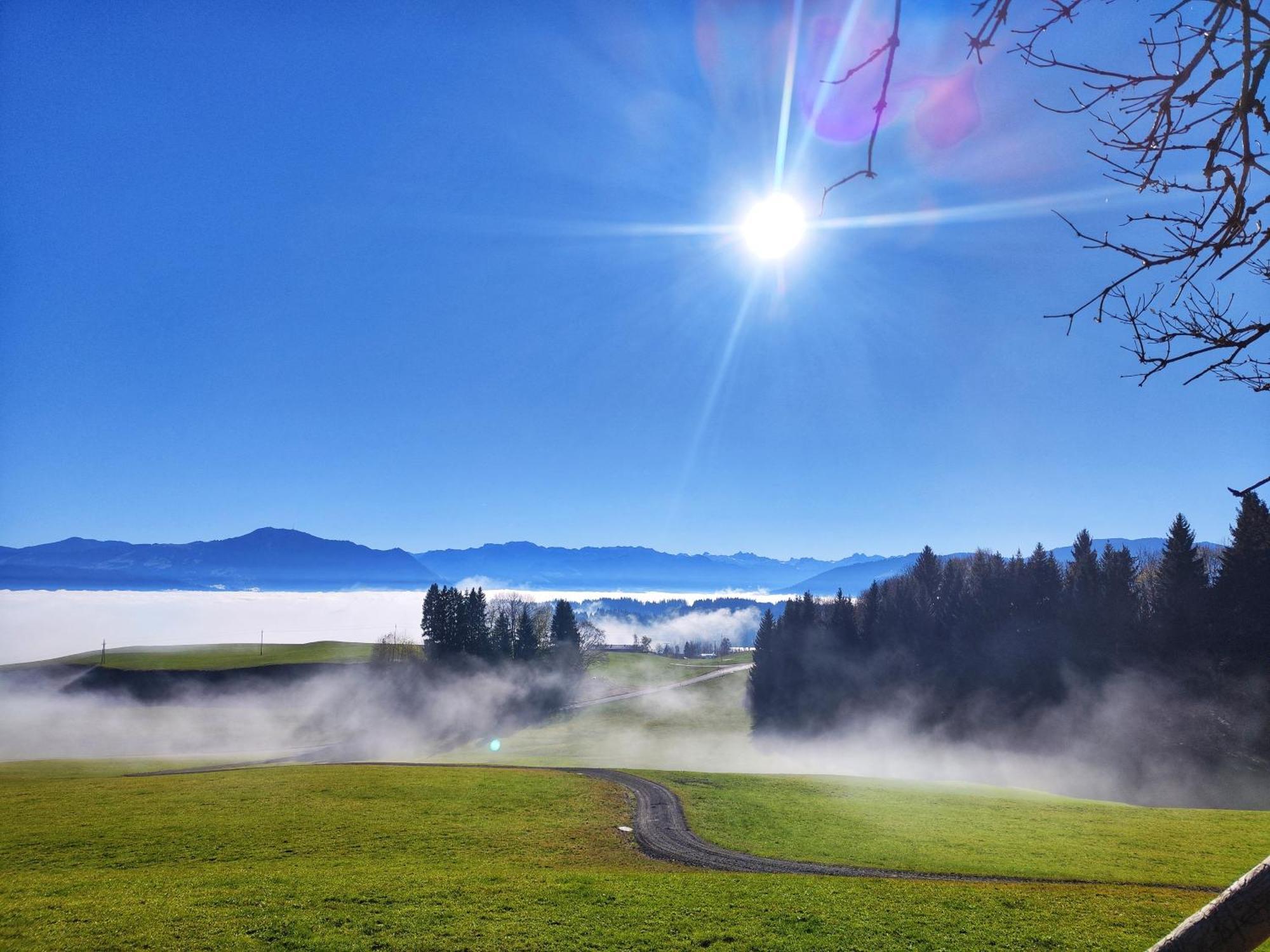 Alpseegruenten - Die Ferienwohnung Immenstadt im Allgau Bagian luar foto